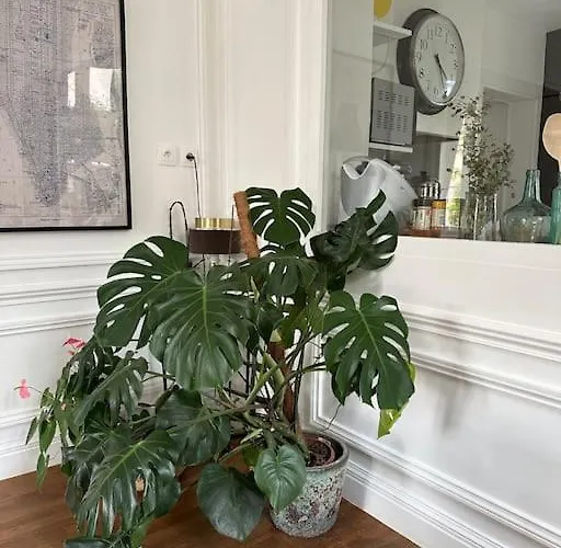 Maison Mercy Βίλα Saint-Gervais (Gironde)